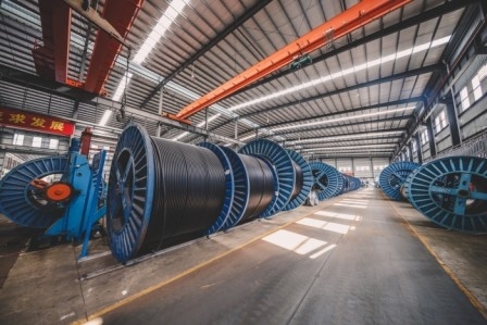 Shenzhen Chengtiantai Cable Industry Development Co.,Ltd