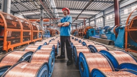 Shenzhen Chengtiantai Cable Industry Development Co.,Ltd
