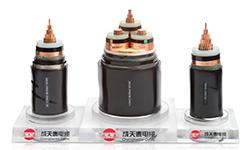 Shenzhen Chengtiantai Cable Industry Development Co.,Ltd Visite d'usine