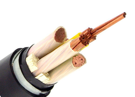 Câble blindé de cuivre du conducteur BT, le CEI blindé 60502-1 de câble de noyau de 0.6/1 kilovolt 3