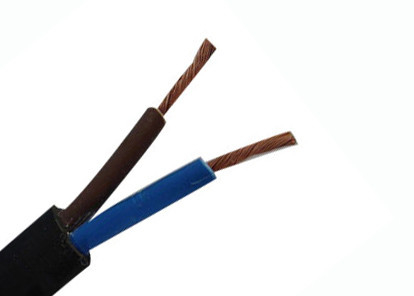 300 / conducteur multi de Cu du noyau 500V Flexible Cable Surface/installation affleurante de bâti