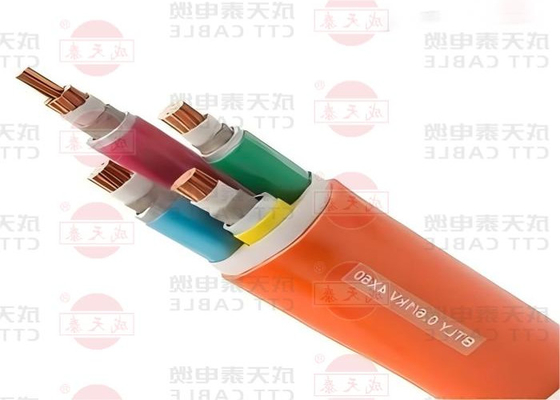 Flame Retardant Test PVC/PE Outer Sheath and Mica-tape Fire Barrier for Customer Requirements