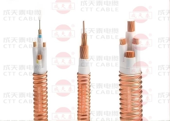 Cable ignifuge acceptable personnalisé pour les besoins personnalisés