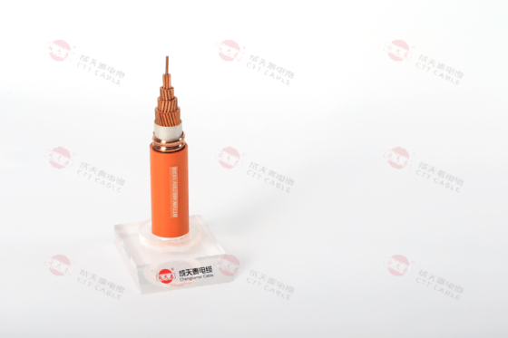 0.6/1KV Cable d'alimentation blindé à tension nominale résistant aux UV et de qualité ignifuge CEI 60332-1