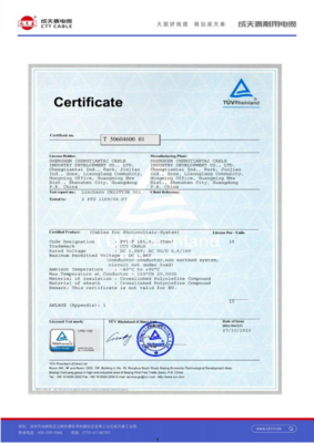 Câble d'alimentation solaire PV1-F 1x4mm² pour panneaux solaires, fil de cuivre étamé conforme à la classe 5 de la norme 60228, OEM accepté