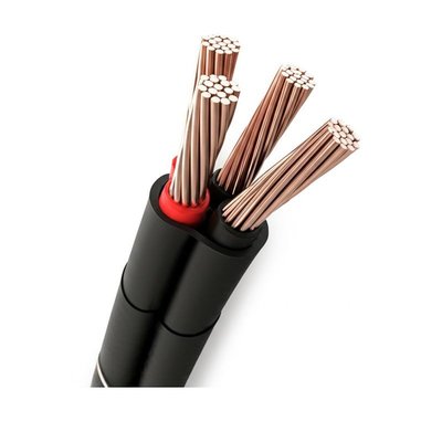 Steel Tape Armored CTT CABLE Copper Wire Braiding Screening for Durability
