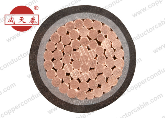 0.6 / 1kV XLPE a isolé le cable électrique blindé de bande en acier pour la distribution d'énergie