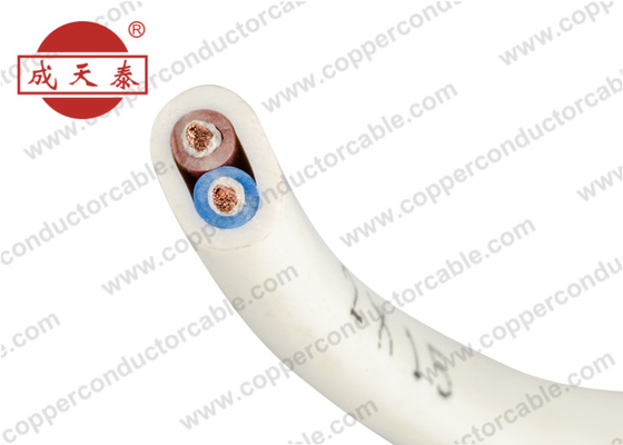 300 / câble 500V électrique de cuivre flexible plat avec la couche résistante au feu