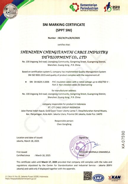 中国 Shenzhen Chengtiantai Cable Industry Development Co.,Ltd 認証