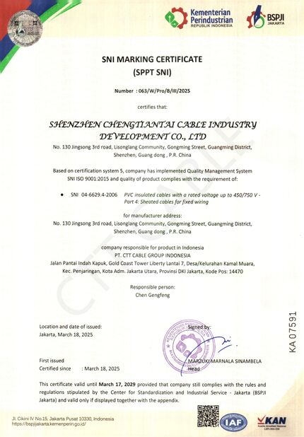 中国 Shenzhen Chengtiantai Cable Industry Development Co.,Ltd 認証