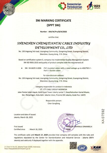 中国 Shenzhen Chengtiantai Cable Industry Development Co.,Ltd 認証