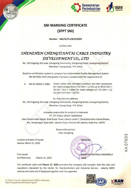 中国 Shenzhen Chengtiantai Cable Industry Development Co.,Ltd 認証