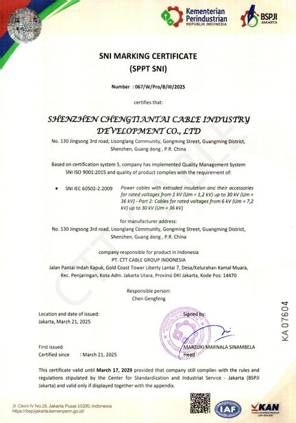 中国 Shenzhen Chengtiantai Cable Industry Development Co.,Ltd 認証